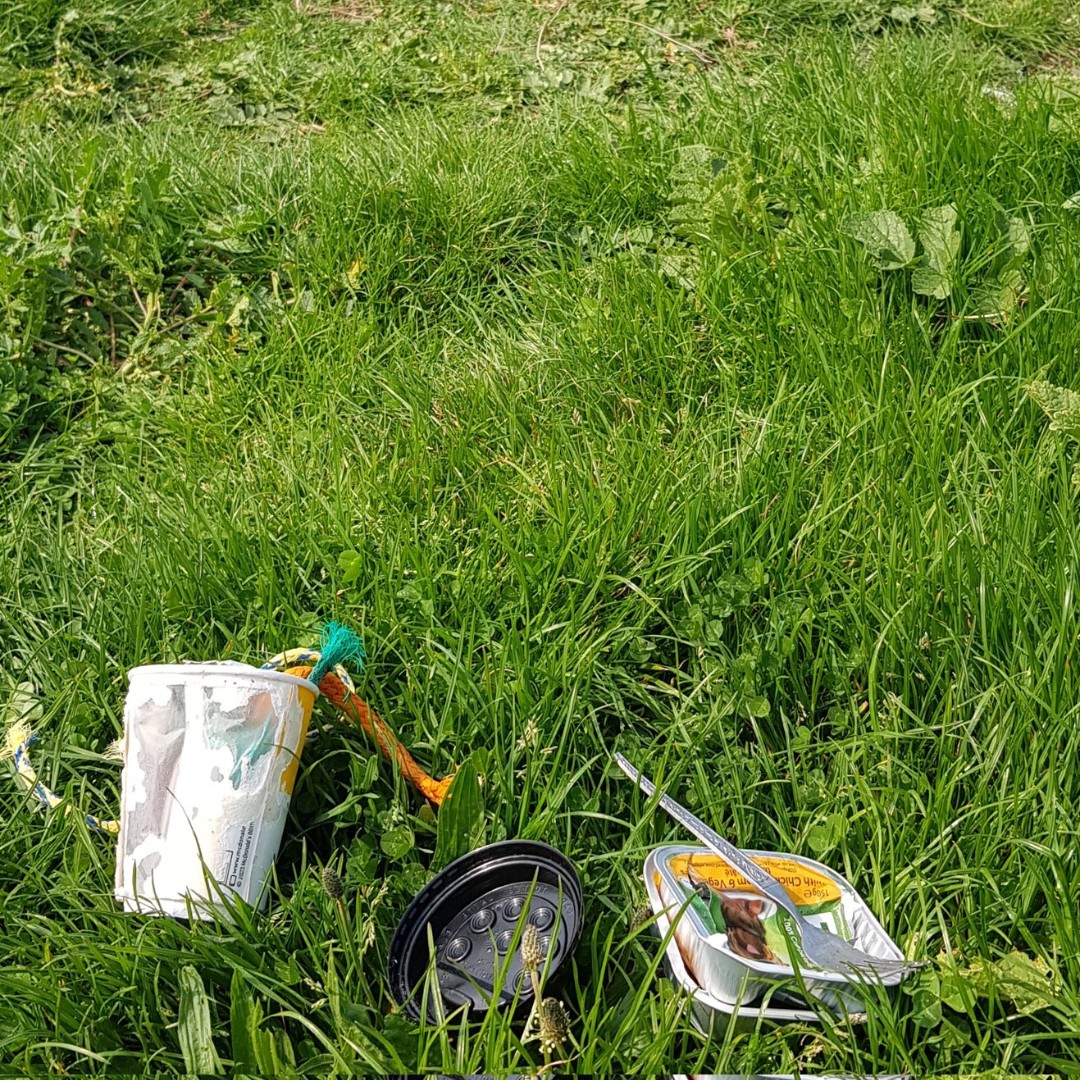 Thank you @BBullrushes for taking the time to do a #2MinuteStreetClean in their area! 💚 #SDGsIrl #SpringClean24 #NationalSpringClean #Ireland