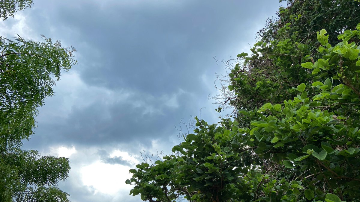 Dark clouds over Hubballi! It may rain anytime 

#Hubballi #Hubli #KarnatakaRains #Karnataka #HubballiRains