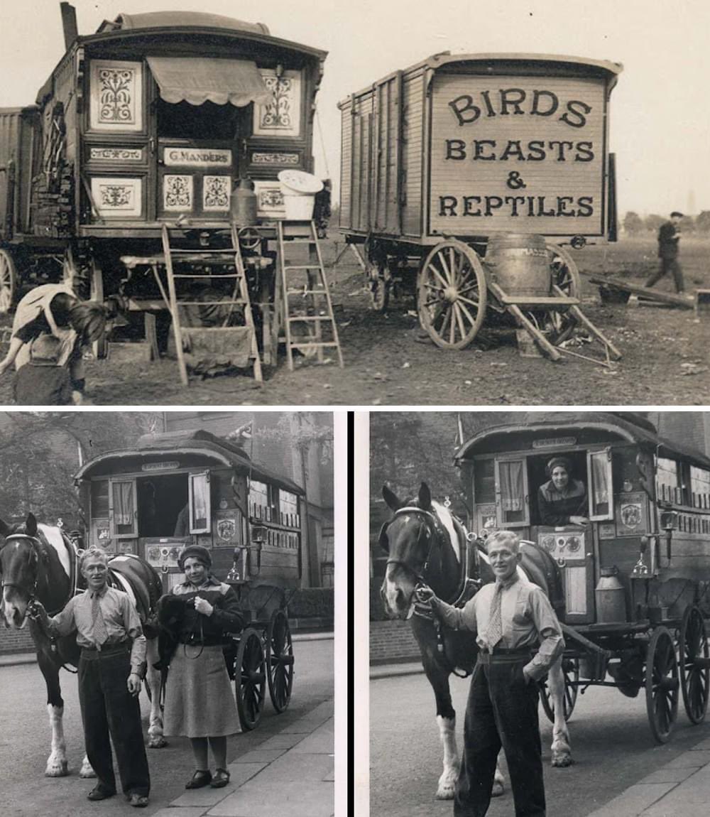 The images in this set relate to the subject of caravans and camping. They have been selected from the Arthur J Fenwick collection of circus material.Arthur James Fenwick (1878-1957) was a director of Fenwick's Department Store, Newcastle. He was extremely interested in