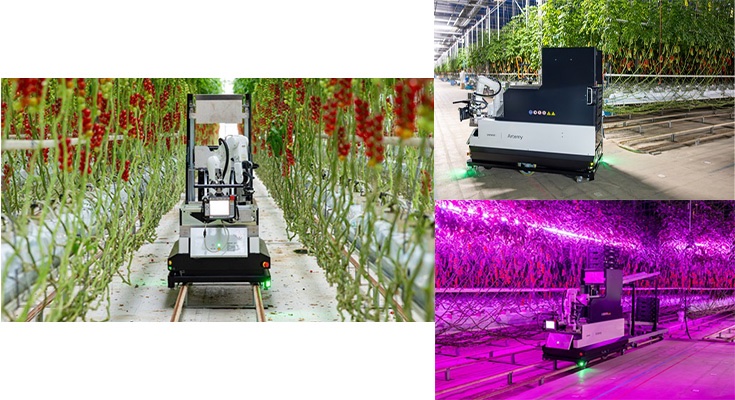 デンソー、欧州向けに房取りミニトマトの全自動収穫ロボット「Artemy」の受注を開始　人手不足の解消と重作業の大幅低減に貢献

robotstart.info/2024/05/14/min…