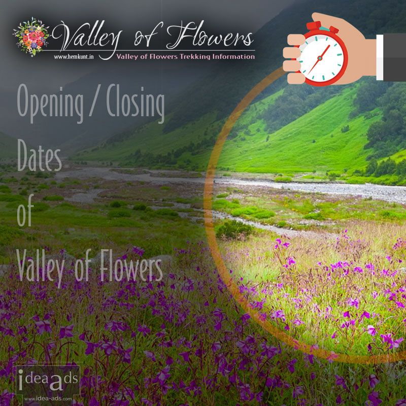 Valley of Flowers Uttarakhand Opening Dates 2024 buff.ly/3PMIaRh #travel #guide with #latest #trekking #tips for #Valley of #Flowers #valleyofflowers #chamoli #uttrakhand #nationalpark #trekking #travelguide #tourism #hemkundsahib #hemkundsahibyatra #hemkuntsahib