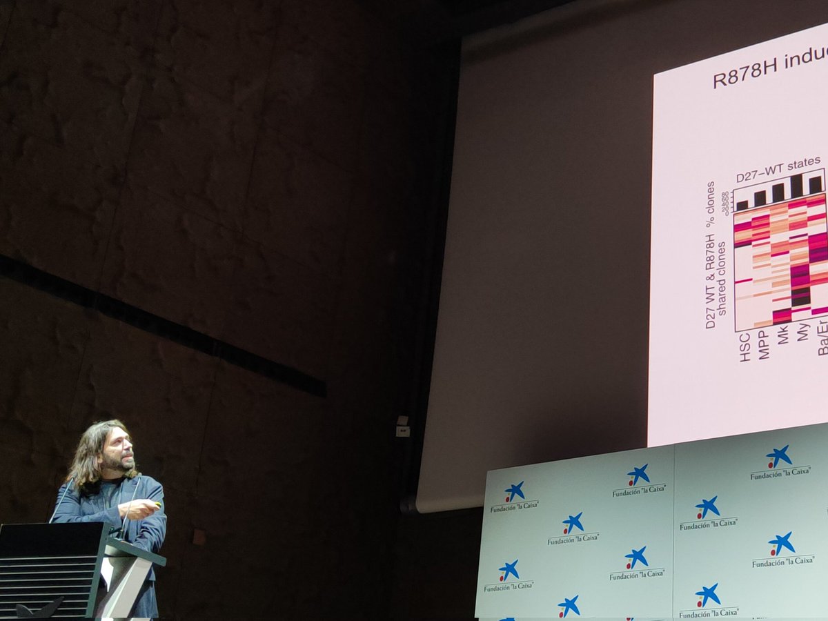 Time for <a href="/AlejoFraticelli/">Alejo Rodriguez-Fraticelli, PhD</a> to show latests results in stem cell heterogeneity <a href="/genomics_ibima/">Unidad de Genomica (ECAI)</a> <a href="/_ibima/">IBIMA Plataforma BIONAND</a> <a href="/Cambridge_Uni/">Cambridge University</a> <a href="/Cambridge_Haem/">Haematology at Cambridge</a> <a href="/FundlaCaixa/">Fundación ”la Caixa”</a>