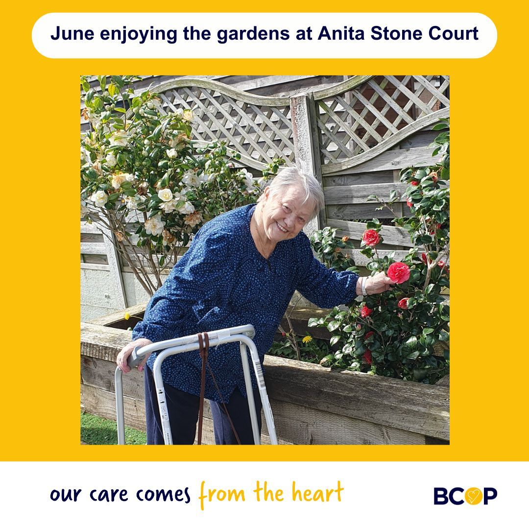 On a sunny day, there's nothing we like more smelling than the roses in our garden. 
#BCOP #Socialcare