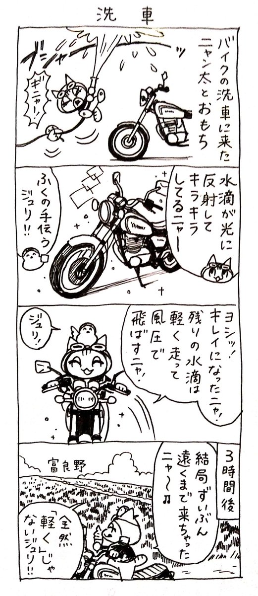 4コマ漫画「ネコ☆ライダー」
洗車🏍️🐈️ 