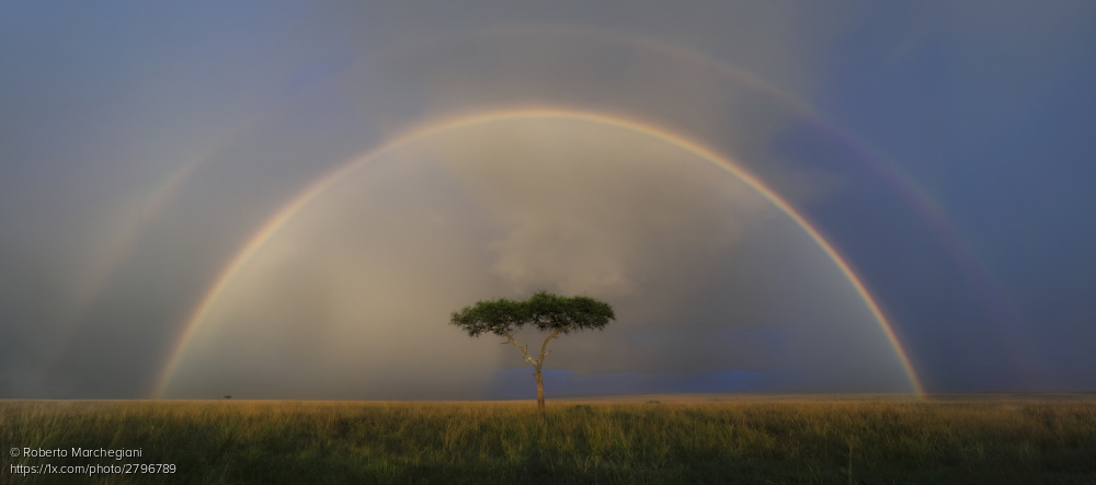 'Under the Rainbow' by Roberto Marchegiani. 1x.com/photo/2796789/… #landscapephotography #tree #lonely #rainbow