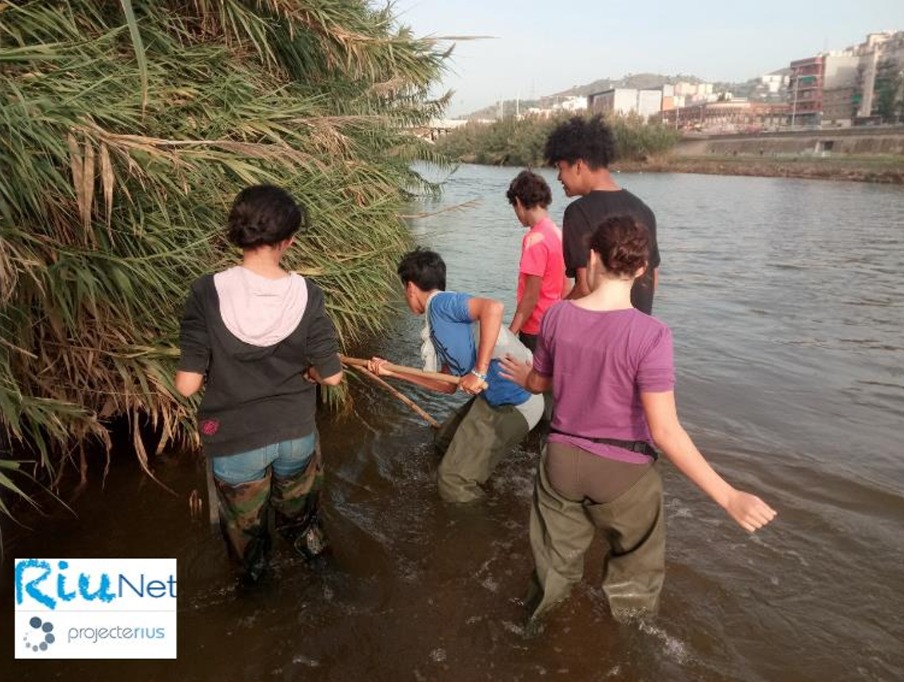 CCiutadana's tweet photo. @floodup_UB @GAMA_UB @planttes @irtacat @BitLabCat @Mosquito_Alert @salutpublicabcn @Xatrac_org @Odourcollect @SciencefChange @RitmeNatura @CREAF_ecologia Amb #RiuNet de @FEHMlab l'alumnat farà un diagnòstic ambiental per determinar l'estat d'un riu.
Descobrirà com són els rius, quins organismes hi viuen, o quins són els problemes causats pels humans.
#CiènciaCiutadanaiEducació, 📅Fins 22/05
➡️https://t.co/BXPSDBt9AR" https://t.co/WifDSfIvv9