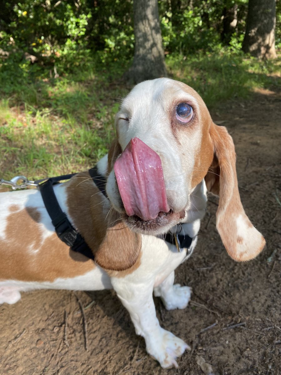 Happy #TongueOutTuesday