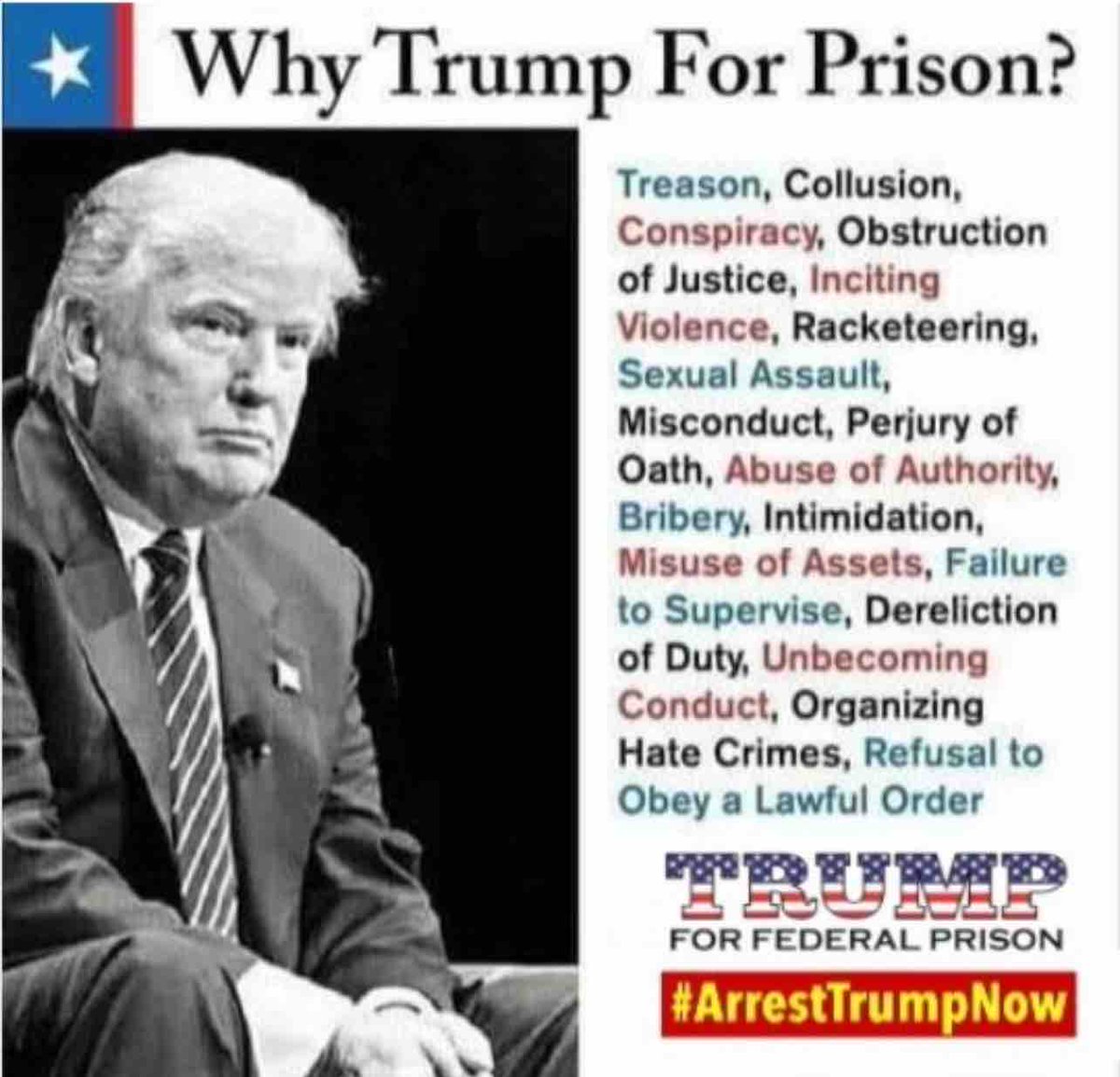 Trump for Prison 2024