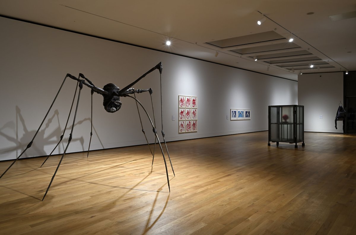 #ARTISTROOMS Louise Bourgeois continues at Aberdeen Art Gallery! ⁠Don't miss this FREE exhibition open every day until 9 June 2024. ⁠ Installation view of ARTIST ROOMS Louise Bourgeois at Aberdeen Art Gallery © The Easton Foundation/VAGA at ARS, NY and DACS, London 2023.