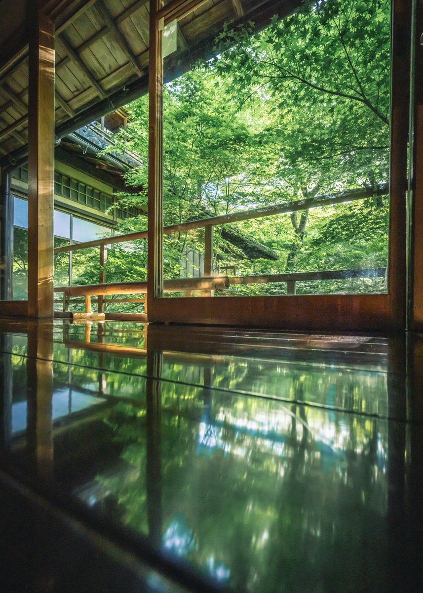 床みどり光る京都。