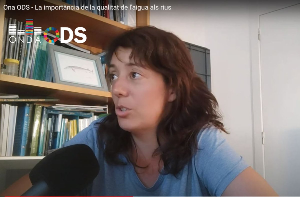 el9nou's tweet photo. La importància de la qualitat de l'aigua als rius
Ho explica Laia Jiménez del @cerm_uvic
Segueix les càpsules informatives #ONAODS #ONDAODS 👇
💻 https://t.co/K5apHffIFv
📻 https://t.co/0DVqgA4MyX https://t.co/PeHLKzN6Vb