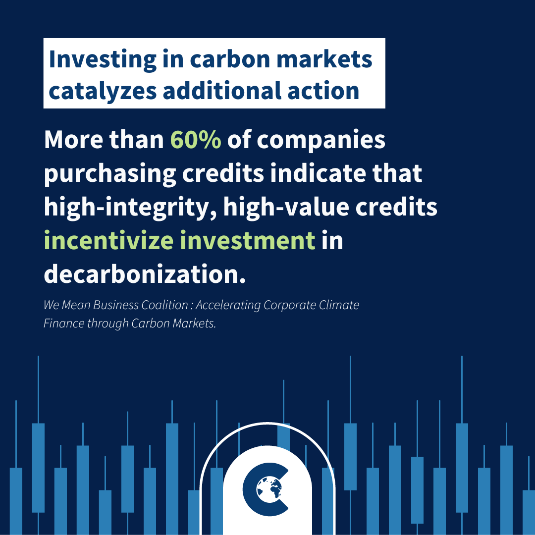 A recent survey by @WMBtweets discovered that investing in #carbonmarkets incentivizes companies to further reduce their emissions. climatetrade.com/api/ #ClimateAction #NetZero