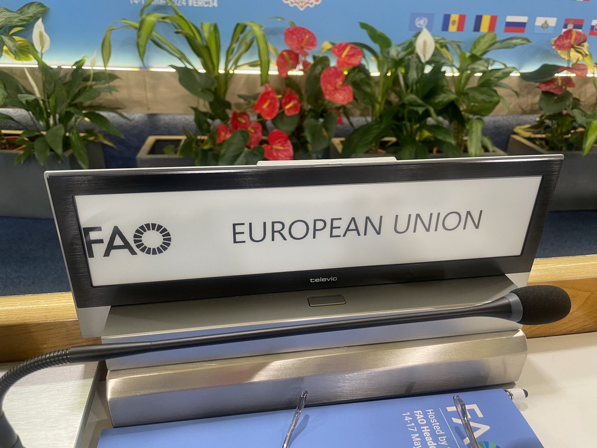 Start of the @FAO European Regional Conference. Hosted and chaired by the Republic of Moldova.⁦ Food systems transformation, effect of RF war in UA on global food security on the agenda. @eudeleg_rome⁩