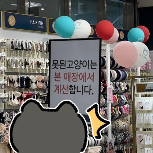 doenhoooooo's tweet photo. 착한고양이는 어디서 계산해요?? https://t.co/uUJjGcsXcd