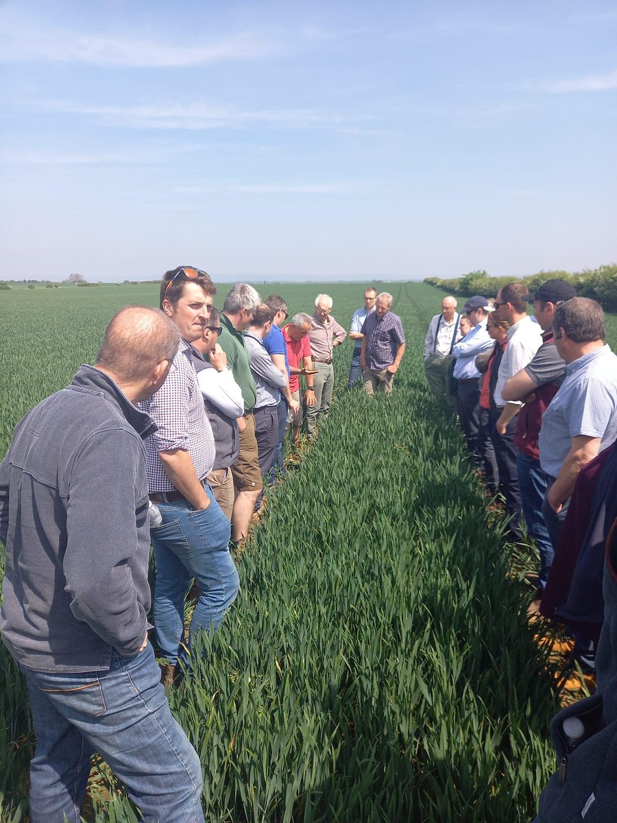 There's still time to sign up to join us at tomorrow's FREE soils event

We'll be discussing how to maintain good soil structure &amp; cultivation practices with demonstrations &amp; practical sessions 🪱

📍 Peterborough, March, PE15 0DH
⏰ 10am - 3pm

Sign up👇
adas.co.uk/events/underst…
