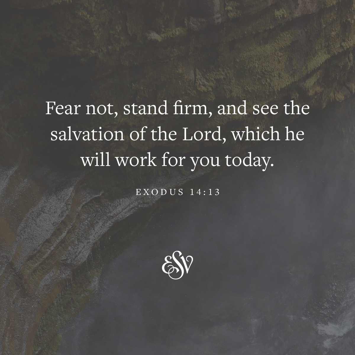 Fear not, stand firm, and see the salvation of the Lord, which he will work for you today. 
—Exodus 14:15 ESV.org 

#Verseoftheday #ESV #Scripturememoryverse #Bible