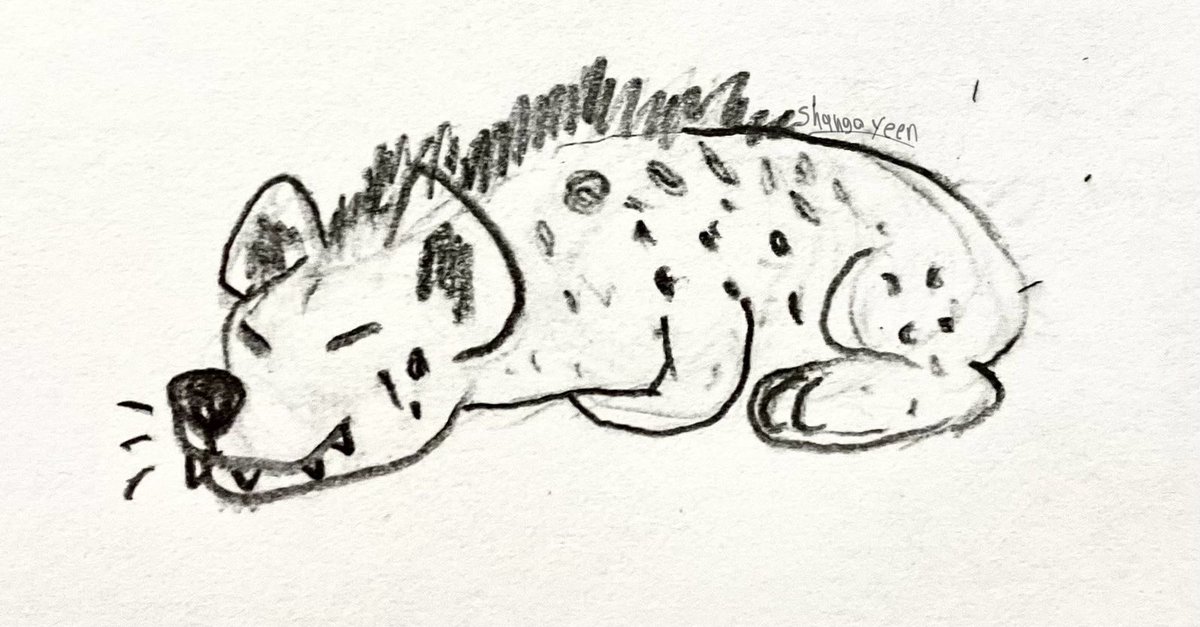 ShangoYeen's tweet photo. Shhhh the spotty loaf is sleeping https://t.co/SYjb8bu8Gp
