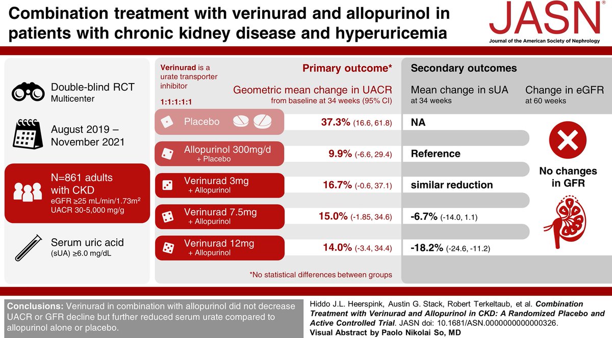 Verinurad, a selective inhibitor of the human urate-reabsorbing urate transporter URAT1, has potent uricosuric activity. This study found verinurad in combination with allopurinol did not decrease UACR or eGFR decline, but further reduced serum urate bit.ly/JASN0326