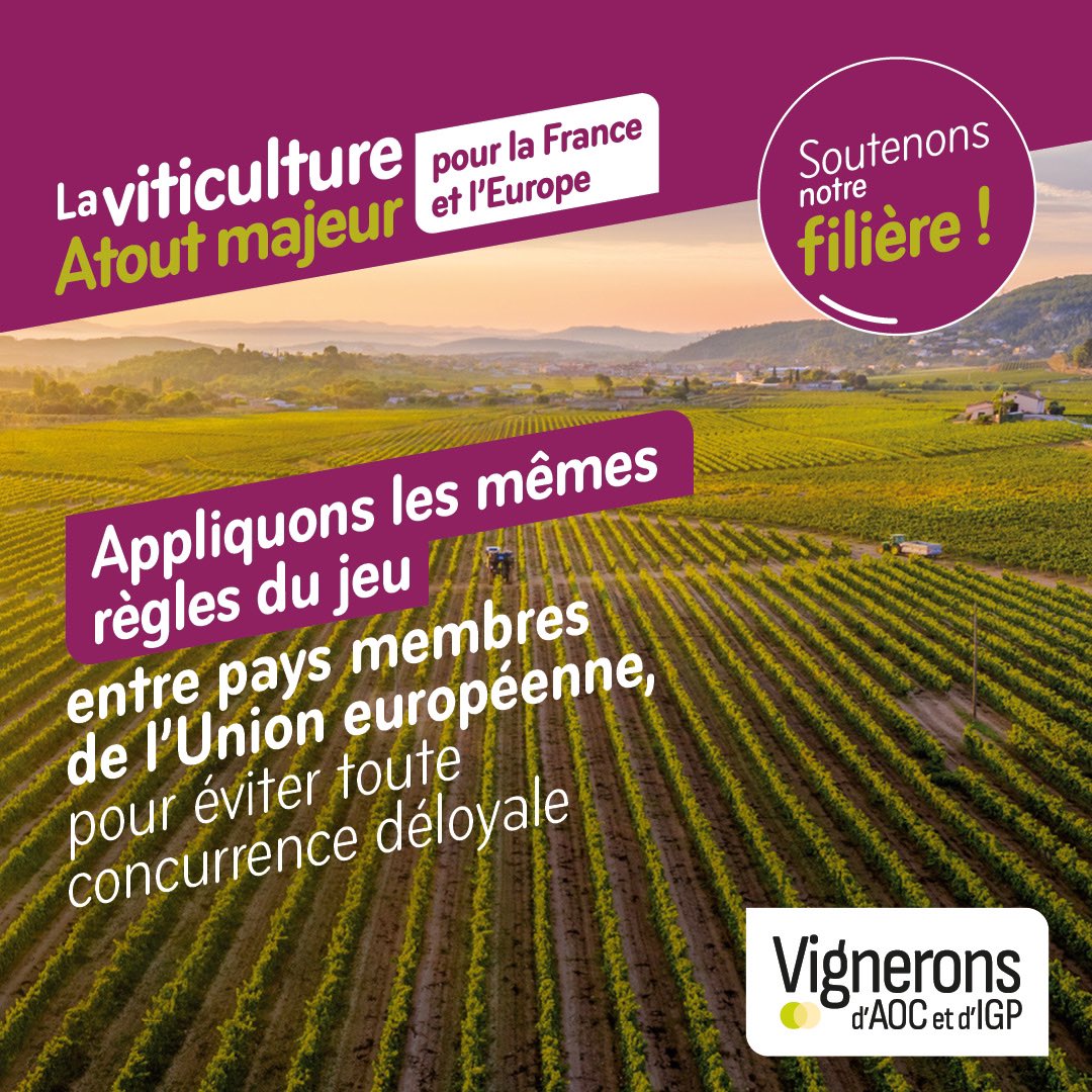 Le 9 juin, l'avenir de la #viticulture se joue lors des élections UE : PAC, étiquetage, gestion des marchés, etc 👉 les vins #AOC et #IGP ont besoin de votre soutien pour maintenir des règles spécifiques en Europe. 
Rdv sur vignerons-aoc-igp.fr ⬇️
<a href="/VINIGPofficiel/">VINIGP</a>