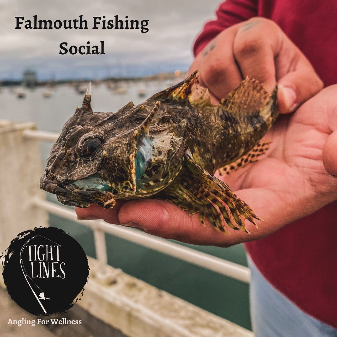 🎣
Join us at Custom House Quay, Falmouth, Sunday, May 19th, 14:00! Experienced coaches, bring your gear or use ours. Let’s cast away stress and reel in relaxation! See how Tight Lines promotes mental wellness. Thanks to @plumbaseredruth. 🙌
#tightlines #cornwall #mentalwellness