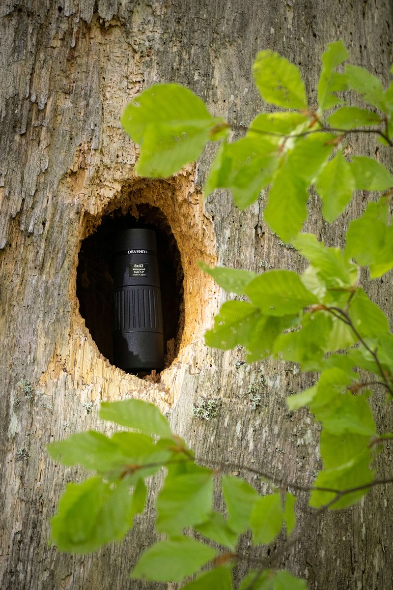 With a close focusing distance of 1.5 metres, the DBA VHD+ monocular is an excellent companion for those who enjoy watching all sorts of wildlife while on the move. Measuring just 14.5cm, this monocular offers high quality in a portable package! opticron.co.uk/our-products/m…