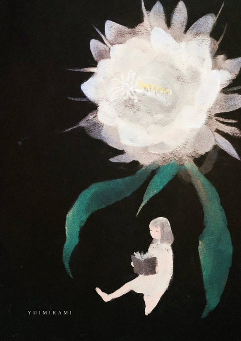 「white flower」 illustration images(Latest｜RT&Fav:50)