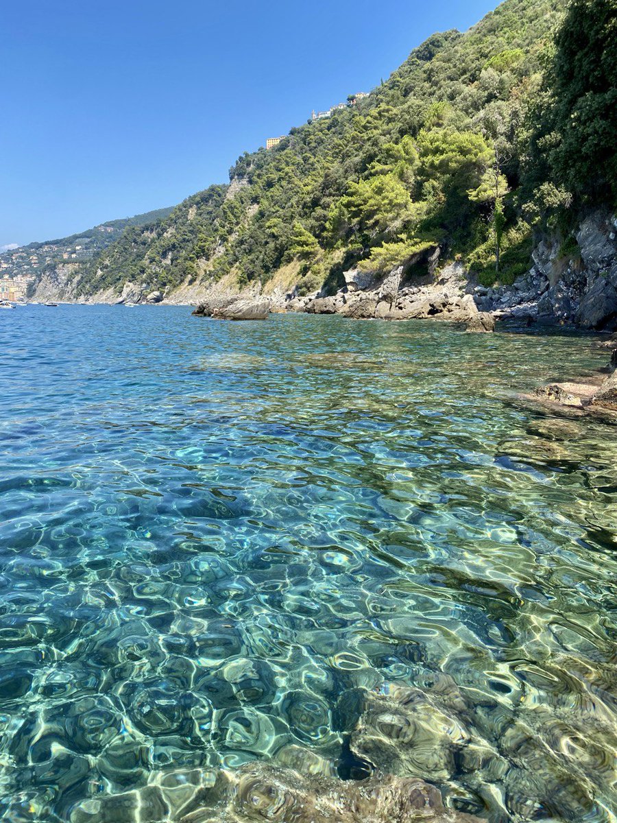 La Liguria anche quest'anno conferma 34 località bandiera blu, risultando la regione con il maggior numero di riconoscimenti! 💙 Ad un passo da #Genova si possono trovare luoghi dal mare cristallino come Sori, Camogli, Santa Margherita Ligure, Sestri Levante e molti altri!