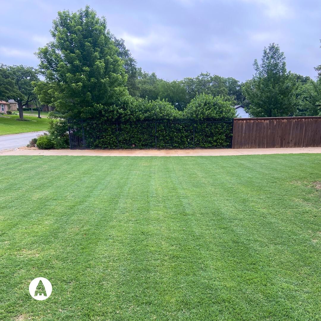 Marco L.'s experience is proof in our products 🌱 Discovering Mirimichi Green through YouTube, Marco found the answer to his soil issues. Our products have helped with challenging Texas clay, giving his lawn life. See more success stories like this! buff.ly/3WEA8gZ