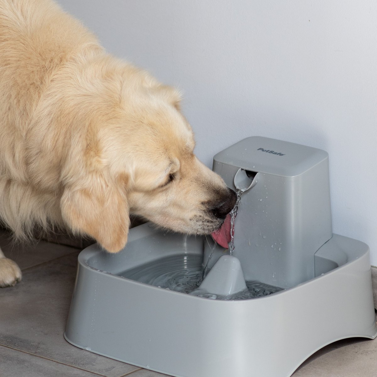 🐾GIVEAWAY 🐾 Want to win a fountain for your furry friend? To enter: retweet, comment and follow @PetSafeUK #Giveaway #Competiton