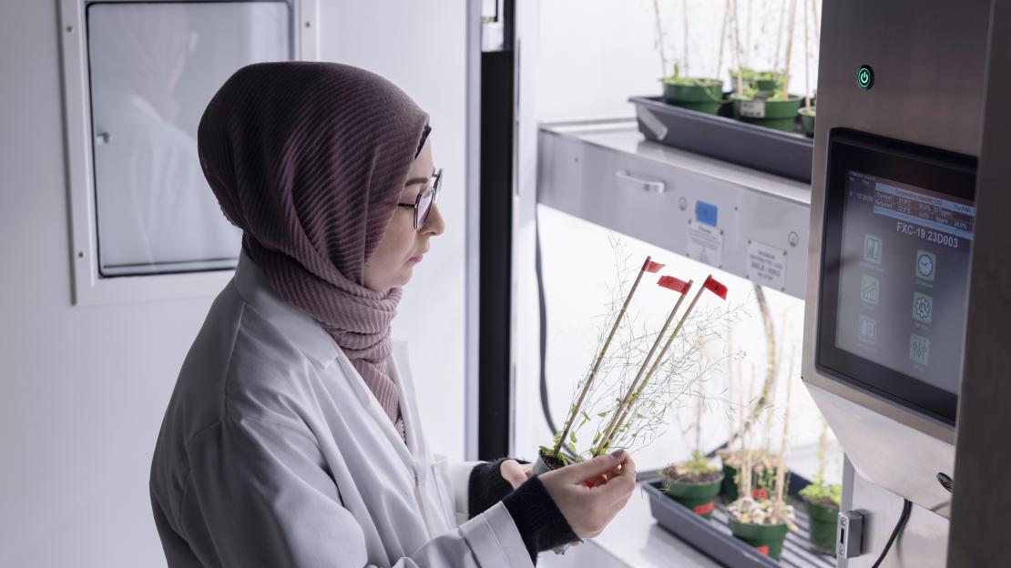 New chambers used to grow plants will allow biologists at #UTSC to do research that may one day lead to stronger, more resilient food crops. The chambers are equipped to mimic different types of growing conditions found in any part of the world. bit.ly/44QWrT3 #UofT