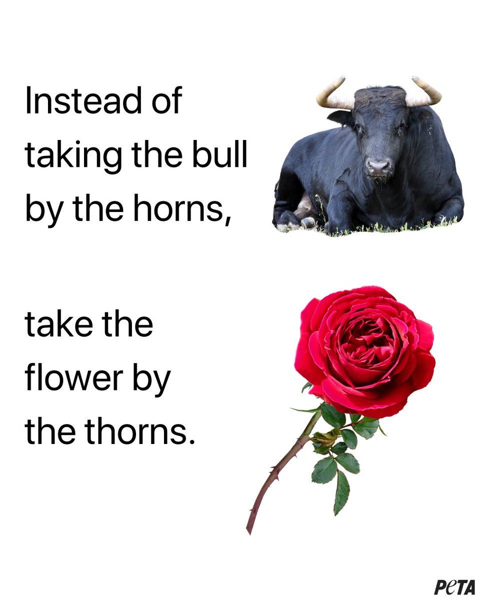 The language we use shapes the world we see. Choose kindness 🌹🐂