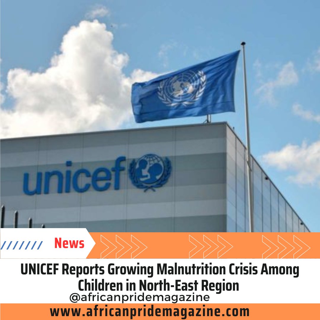 UNICEF Reports Growing Malnutrition Crisis Among Children in North-East Region 

The United Nations C... africanpridemagazine.com/blog/unicef-re…
#everyone #Africanpride #Africanpridemagazine #AfricanPridemagazinefan #Africanprideradio #AfricanPrideTV #borno #commonwealth #fcdo #followers #fyp...