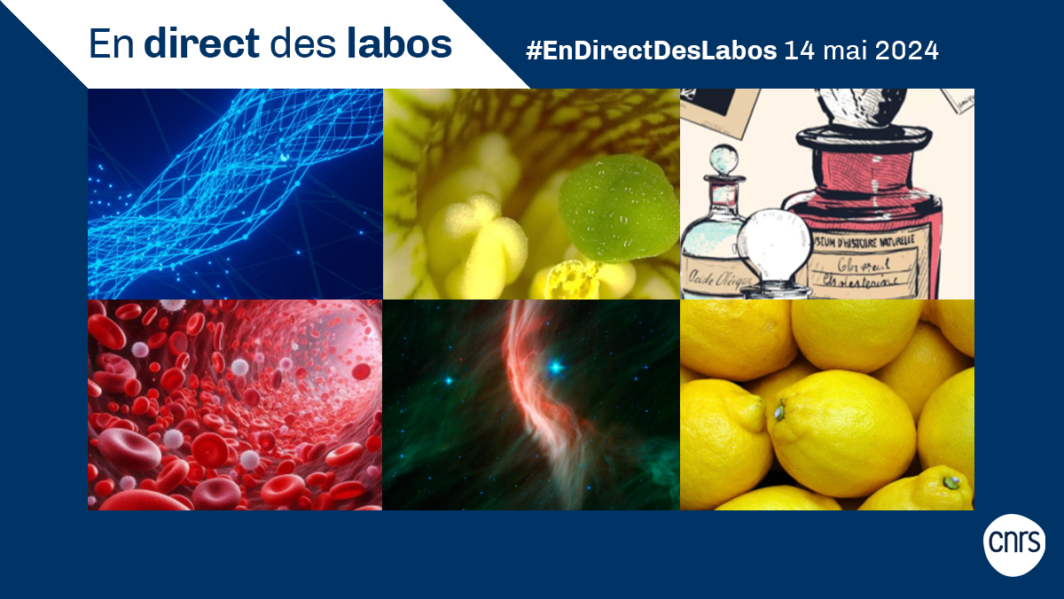 #EnDirectDesLabos 🔎 Nouvelles actualités scientifiques 🔬, création de laboratoire 👩‍🔬, annonce de prix 🏅... Retrouvez toutes les deux semaines les informations issues des laboratoires du @CNRS. ➡️ cnrs.fr/endirectdeslab…