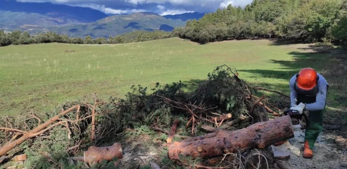 🌾Les Escoles Agràries participen en 5 projectes europeus que aportaran solucions a l'emergència climàtica, l'economia social, la formació innovadora i la gestió hídrica sostenible Mostren el compromís per continuar treballant en la internacionalització. ow.ly/IaA750RFtzZ