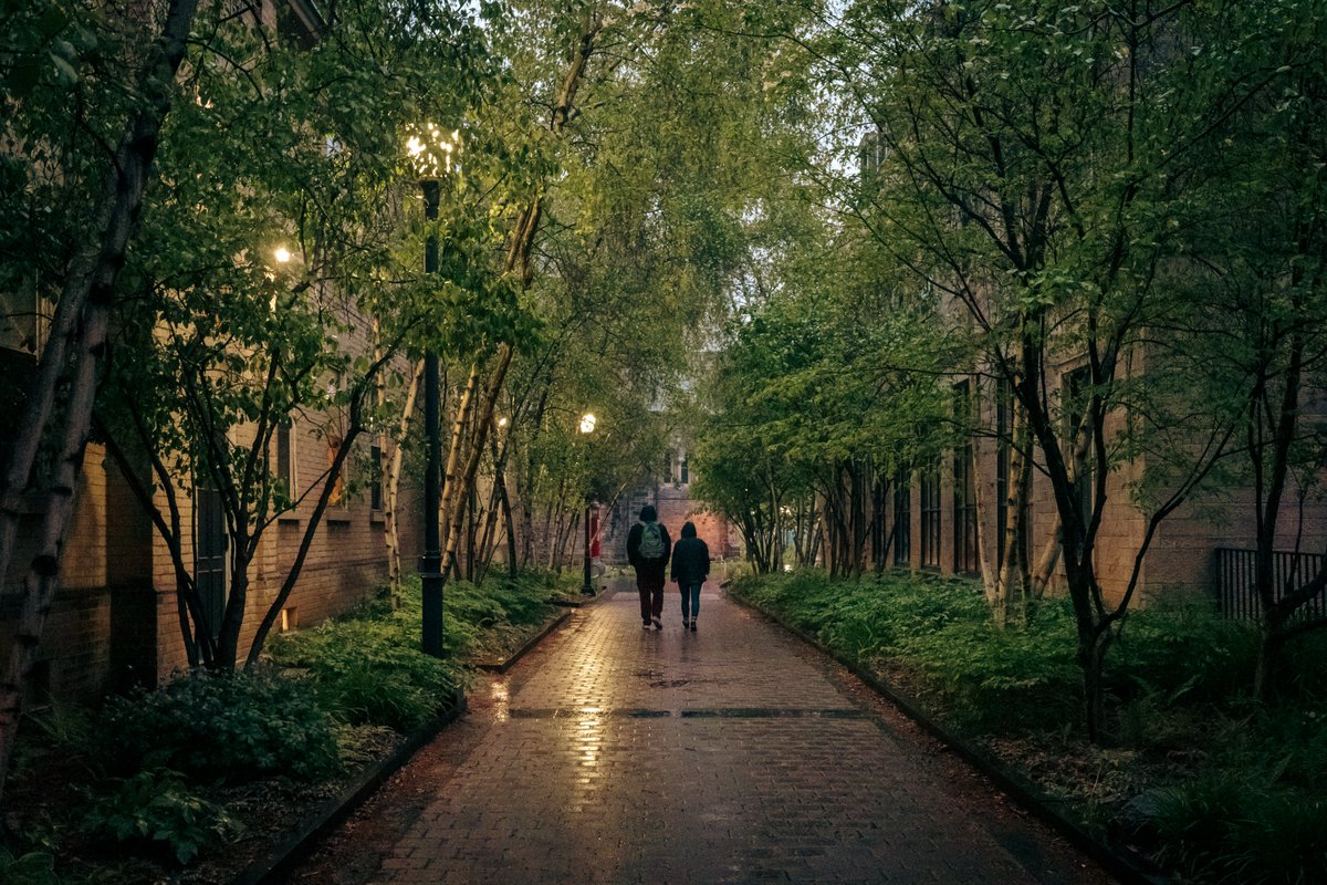 Rainy night on campus