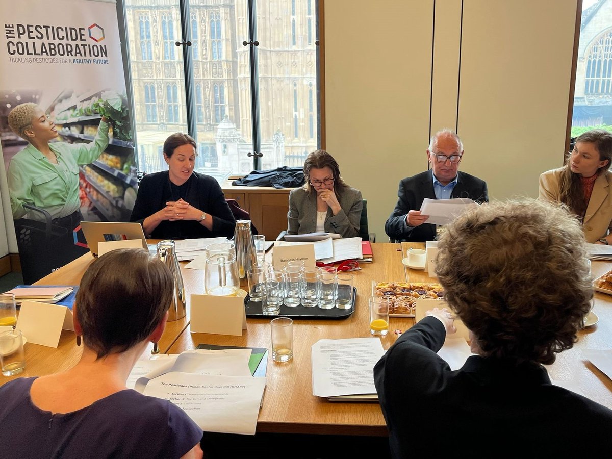 Today, the @PesticideCollab, joined by cross-party parliamentarians and councillors, launched the new campaign for a national phase out of pesticides in our villages, towns and cities! Ask your MP to support the campaign here: pan-uk.org/calling-on-mps… 🌱🌿