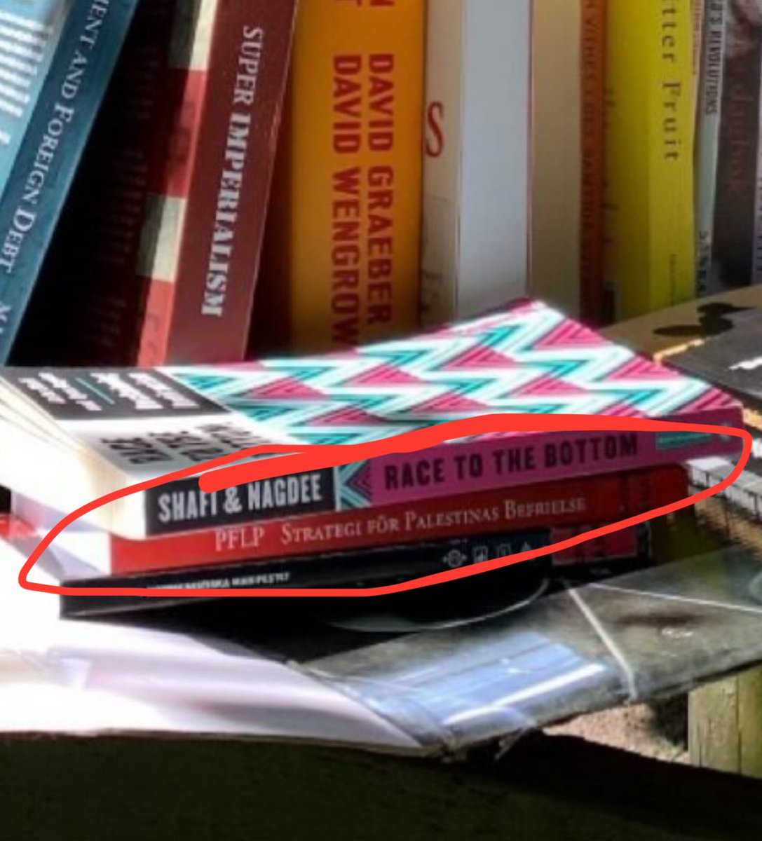 Lite skevt av campingaktivisterna i Lundagård att ha Anne Franks dagbok och terrorgruppen PFLP:s propaganda i sitt bibliotek döpt efter just en PFLP-ledare?
