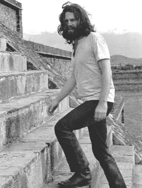 “1Exponte a tu miedo más profundo; después de eso, el miedo no tiene poder, y el miedo a la libertad se encoge y desaparece. Eres libre.”

James Douglas Morrison