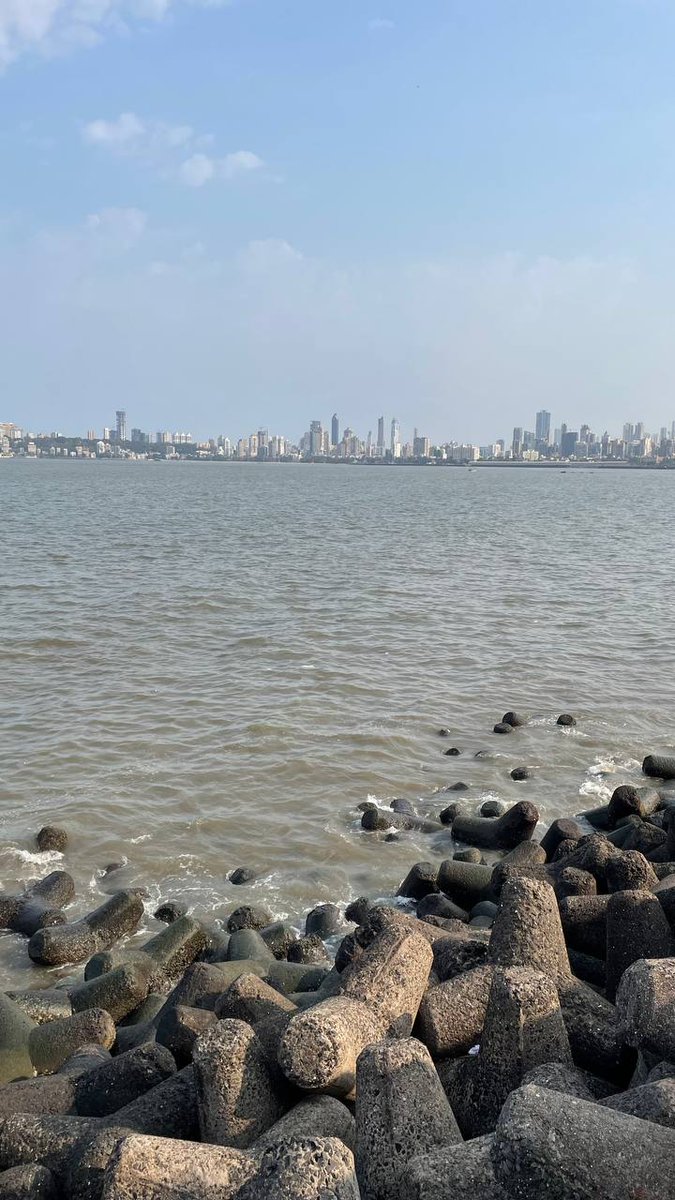 These concrete tetrapods are the guardians of the Marine Drive. They brave the Arabian's fury, standing firm as a silent testament to human ingenuity; resilient & working together to protect the heart of Mumbai. An epitome of quiet strength, they're a perfect blend of form &