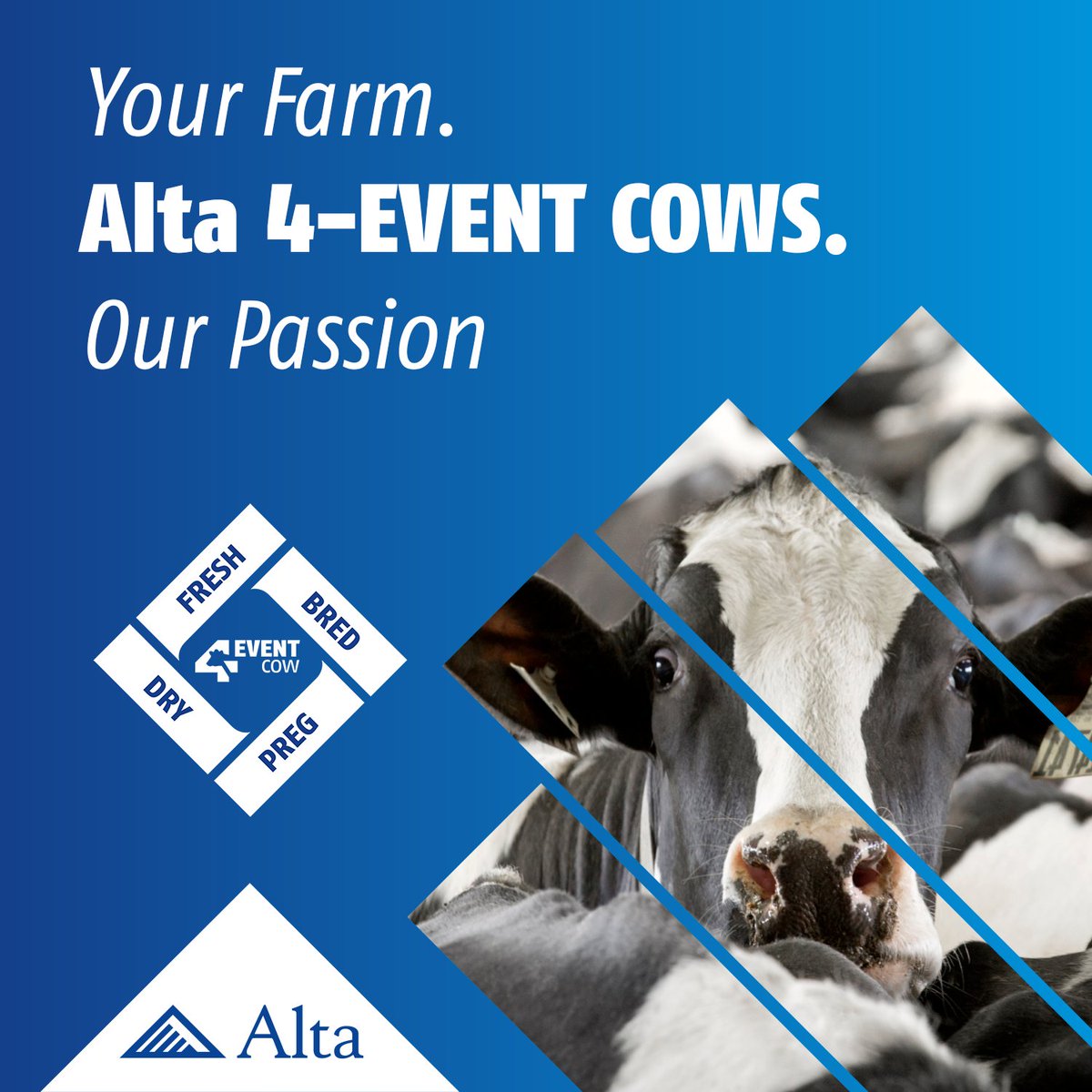 Your Farm. Alta 4-EVENT COWS. Our Passion. 

Genetic consultation is a valuable service that we are proud to provide. We strive to help ensure that your genetic decisions will deliver the results your herd needs. Partner with an Alta advisor to see what results you can achieve!