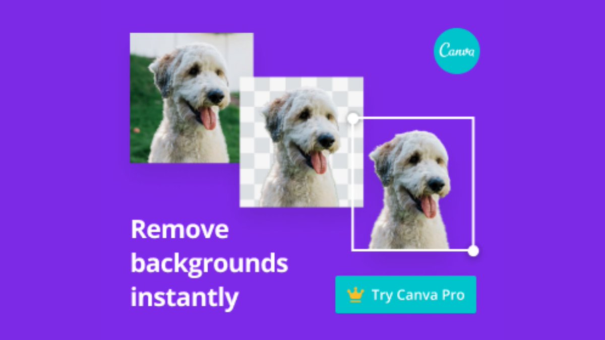 Canva is a product I use for all my designs and I love the professional results it produces. Click the link below to try it for yourself now!  #design 👉digitallypromote.me/get-canva-pro👈