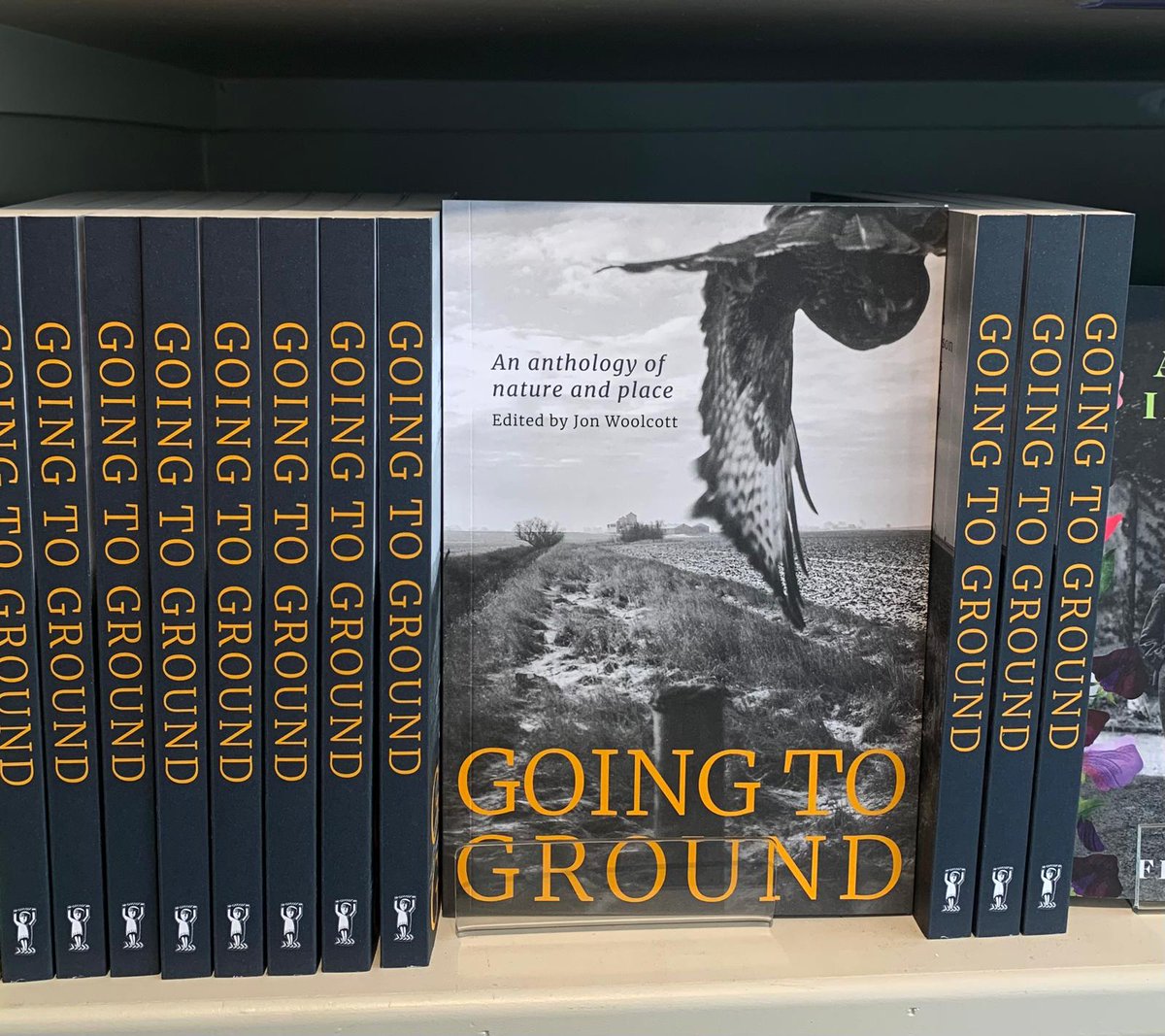 It's here. #goingtoground