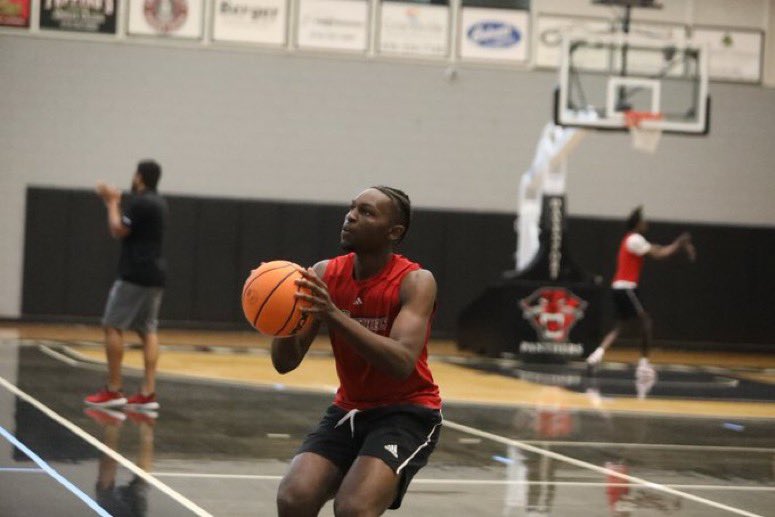 The Portal Report tweet media