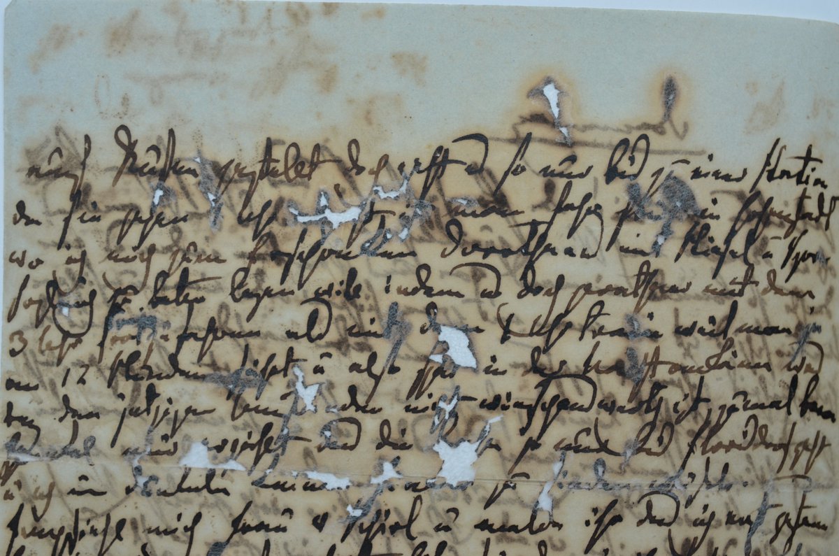 Goethe und Schiller Archiv tweet media