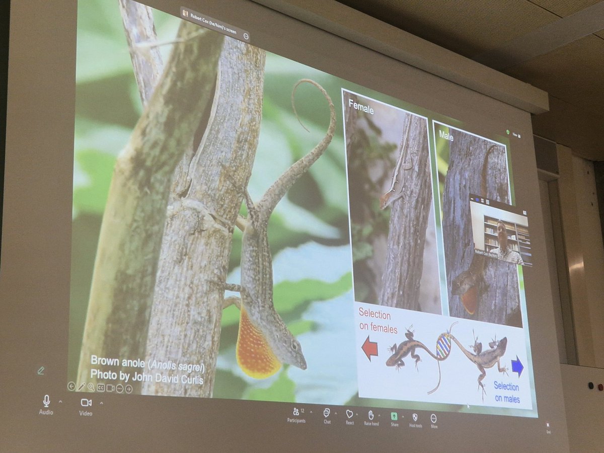 #IEMevents: Exciting seminar by Robert Cox on sexual dimorphism at the intersection of Evolutionary genetics and Endocrinology