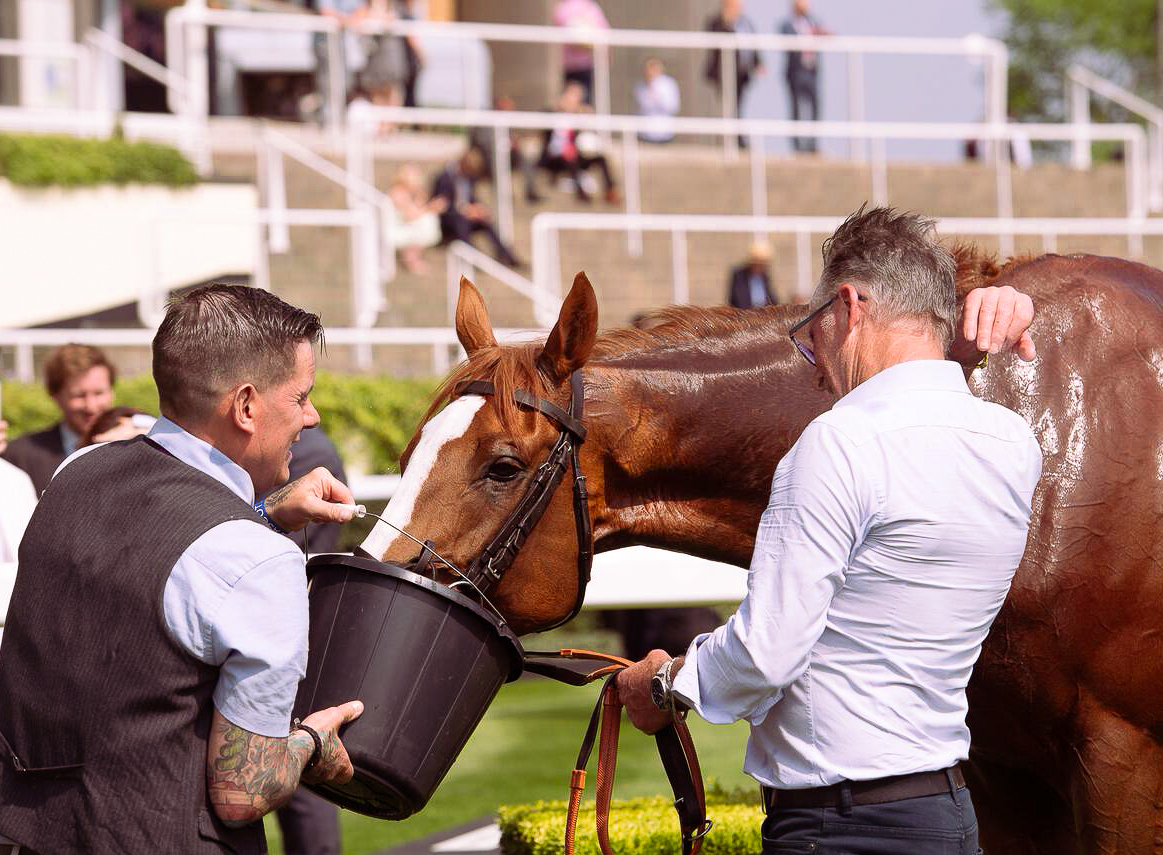 🪄Once again @FellowesRacing weaved his magic! Last week on @bridlepodcast he tipped one horse to follow, THE WIZARD OF EYE (7/1) who landed a £125 e/w free charity bet. All winnings will be going to @WellChild. 👏