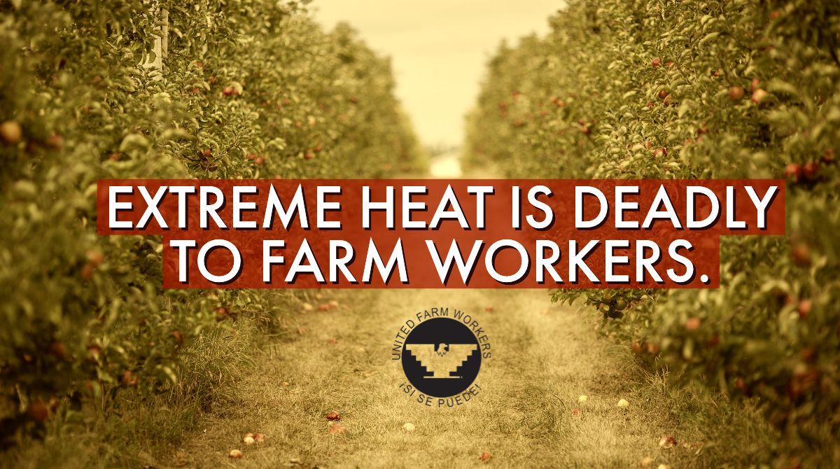 Don't let the heat turn deadly for farm workers. Donations will help us keep doing everything we can to save lives. Stand strong with the farm workers who toil day after exhausting day under a sizzling sun. ufw.org/heat_donate or paypal.me/ufwdonate #Calor #WeFeedYou 4/