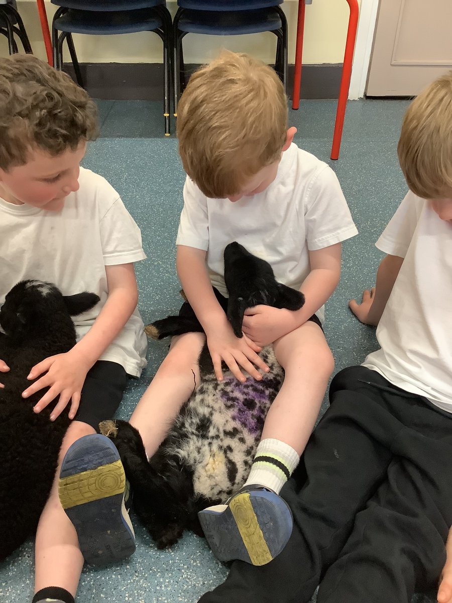 EYFS had a fantastic visit from the Yorkshire Lamb Orphanage. The children got to hold a baby lamb that was only 5 days old! They were very soft and friendly. We had a brilliant time. #rwpaFS2 @eboractrust