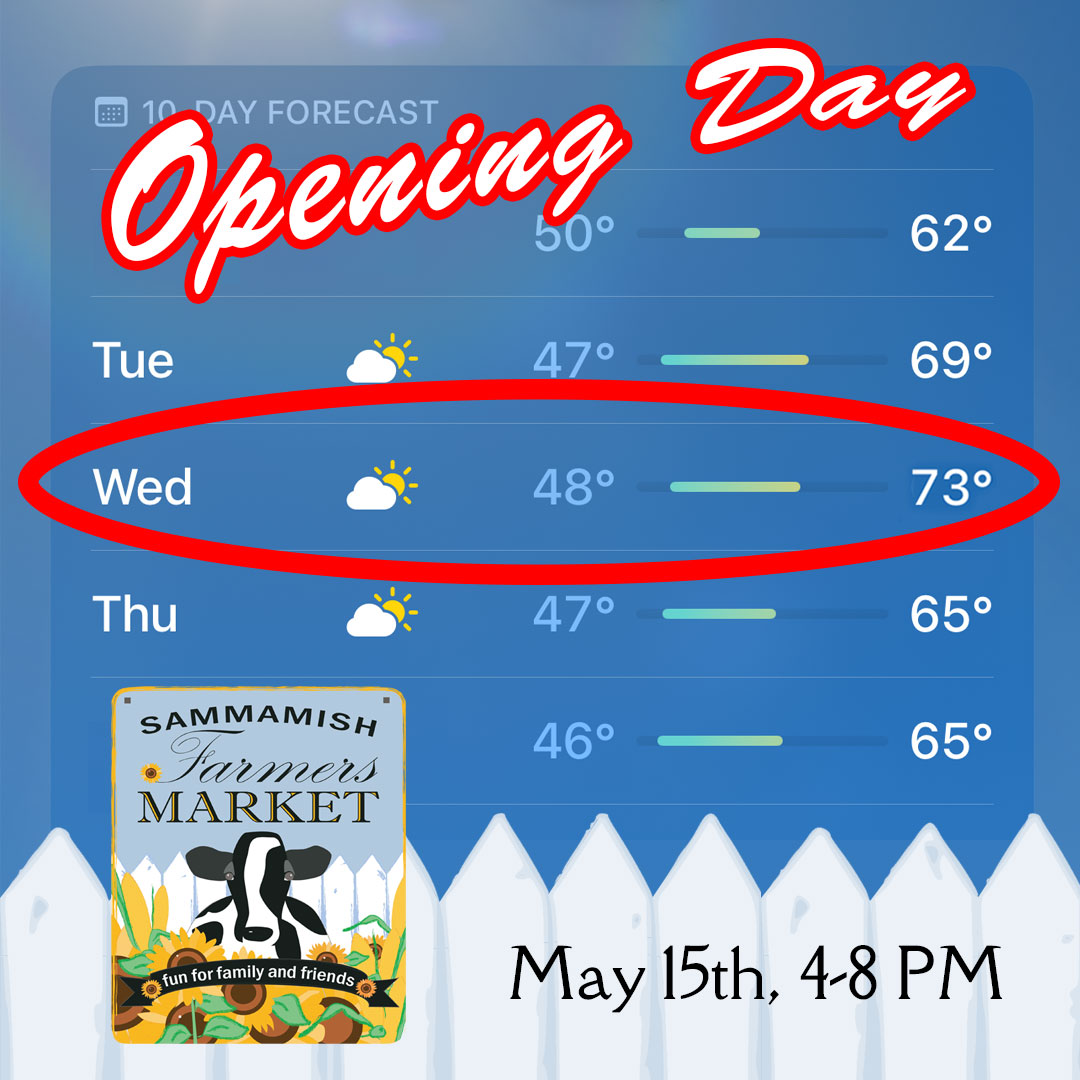 FUN FACT: In 2023, the #SammamishFarmersMarket didn't experience rain on any market day. ☀️ ☀️ ☀️ Let's keep the trend going. We'll see you tomorrow, May 15th, from 4-8 PM. #FarmersMarket #SammamishLife #GrowLocal #ShopLocal #EatLocal