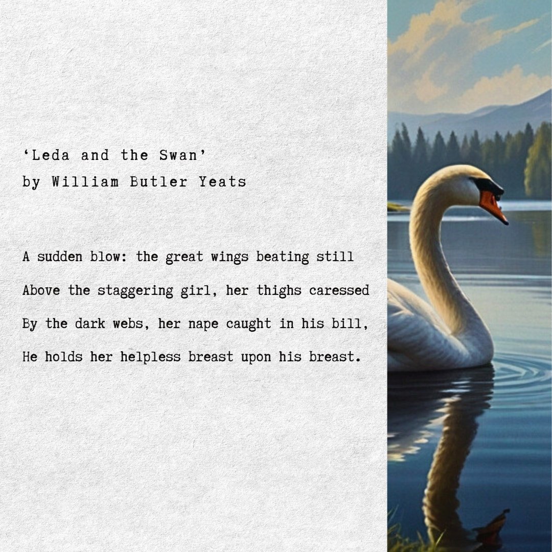 The poem explores the Greek myth of Leda, seduced by Zeus as a swan, and is considered one of Yeats’ finest works.

Excited to learn more poems from William Butler Yeats? Follow us and visit our website.

💻 poemanalysis.com/william-butler…

#author #WilliamButlerYeats #poems #analysis